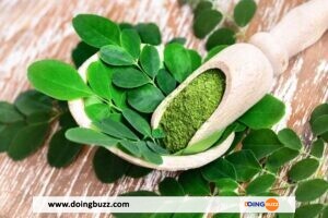 Le Moringa : Ses Bienfaits Pour La Peau Et Les Cheveux