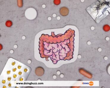 Les Probiotiques : Des Alliés Pour La Santé Intestinale