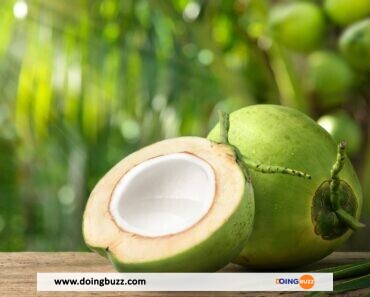 La noix de coco : quels sont ses bienfaits sur la santé ?