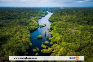 Planete Foret Amazonie Deforestation Surface Espagne