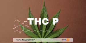 Qu&Rsquo;Est Ce Que Le Thcp ? Le Cannabinoïde Plus Puissant Que Le Thc