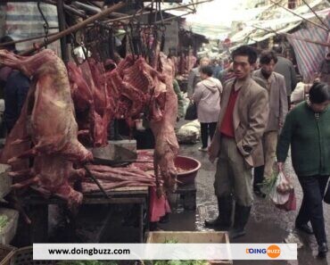 Corée du Sud : la consommation de la viande de chien bientôt interdite !