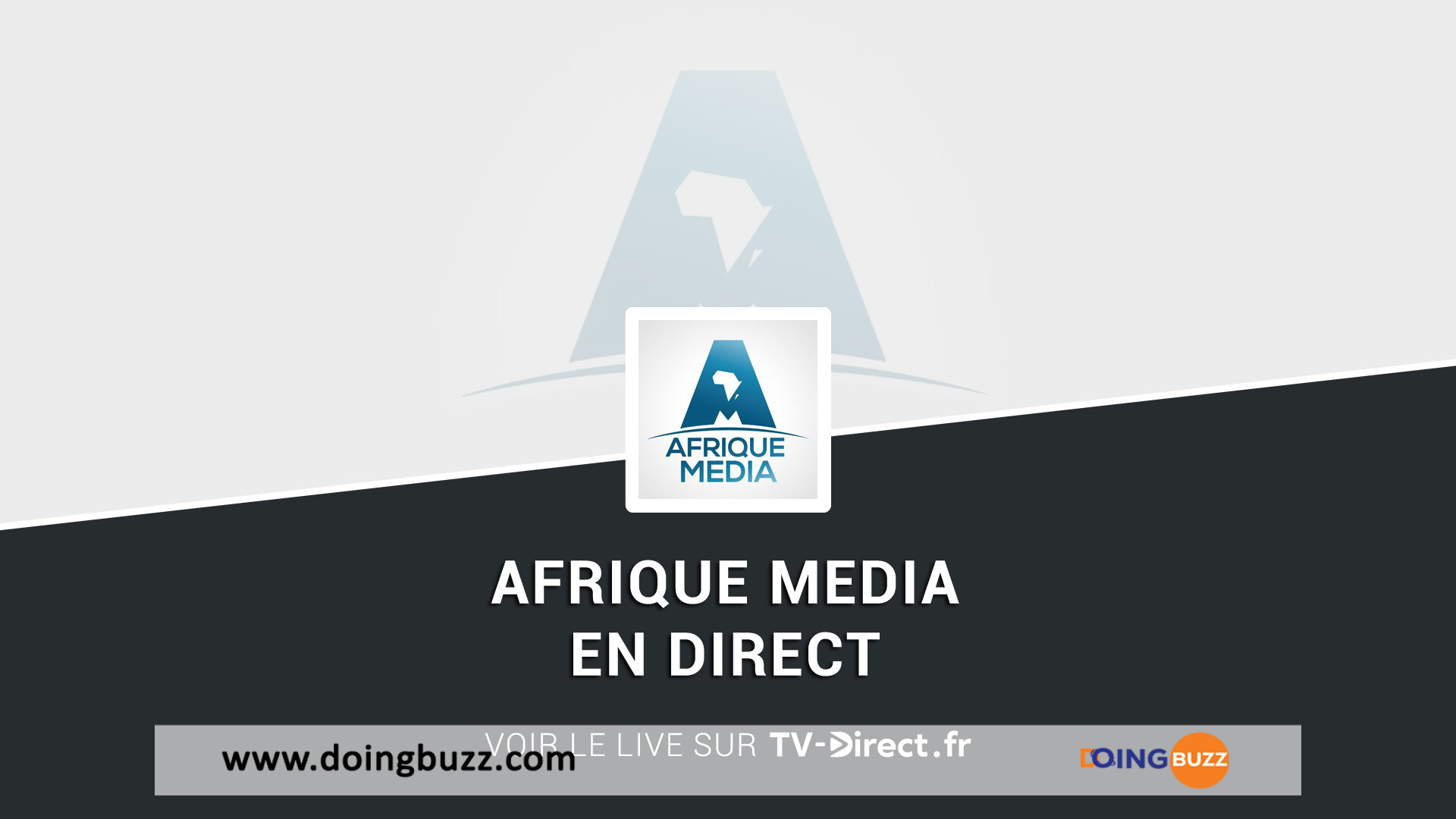 Fermeture D'Afrique Média Au Cameroun : Les Défis De La Conformité Sociale Au Premier Plan