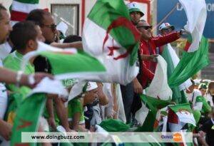 Can 2023 : Les Supporters Algériens Gagnent Des Cœurs Avec Ce Geste Incroyable (Photos)