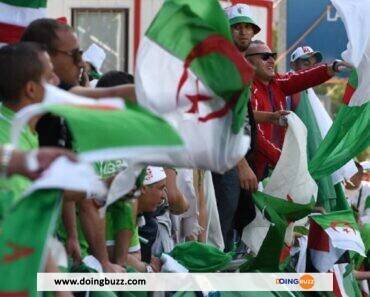 Can 2023 : Les Supporters Algériens Gagnent Des Cœurs Avec Ce Geste Incroyable (Photos)