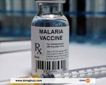 Le Bénin Reçoit Ses Premières Doses Du Vaccin Contre Le Paludisme