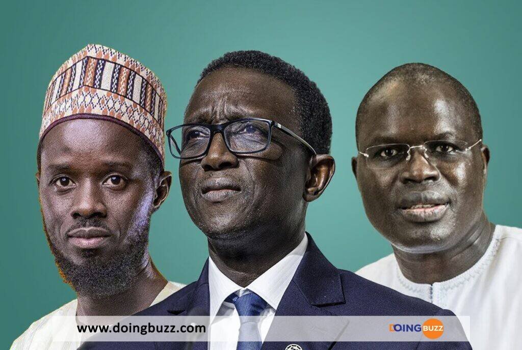 Élection Présidentielle au Sénégal : Les profils des principaux candidats