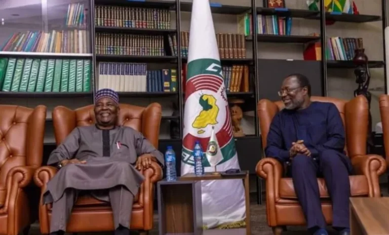 Un Des Pères Fondateurs De La Cedeao Appelle À La Levée Des Sanctions Contre Les Régimes Militaires