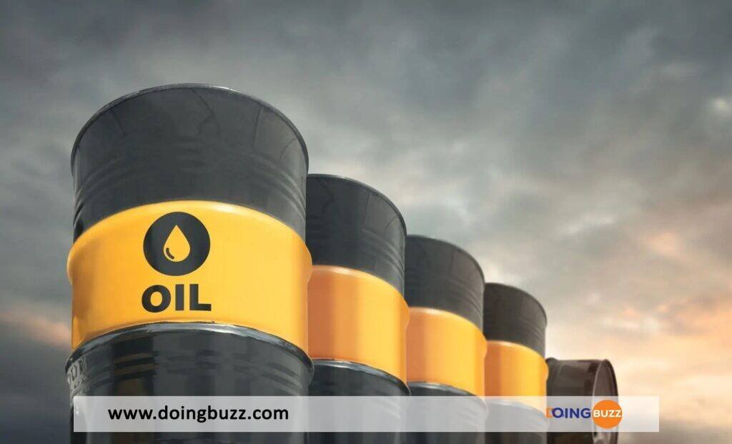 Le Niger exporte ses premières gouttes de pétrole vers ce pays