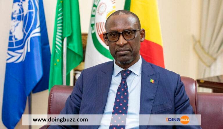 Mali : L&rsquo;appel pressant de l&rsquo;ONU à restaurer la liberté politique