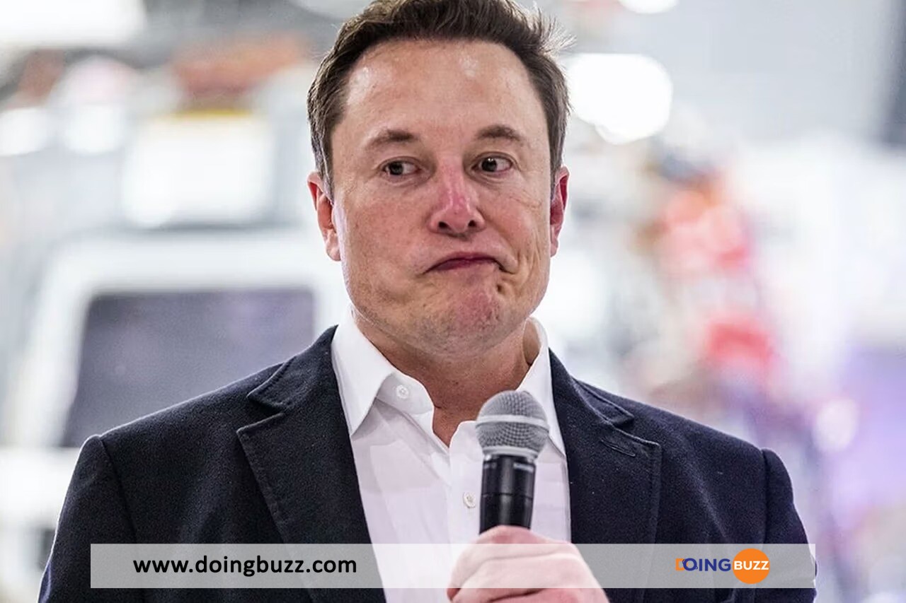 Le Zimbabwe Dit &Quot;Stop&Quot; À Elon Musk