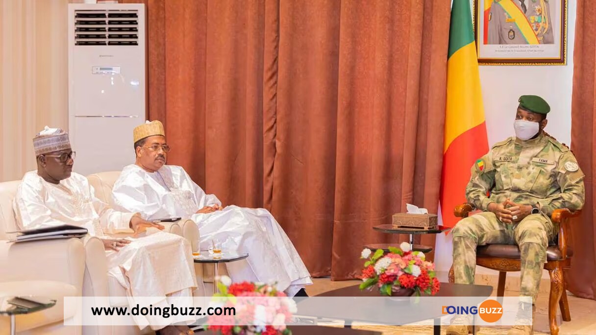 Le Niger Au Secours De L'Électricité Malienne