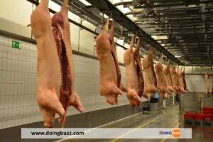 Scandale En Plein Ramadan : De La Viande De Porc Retrouvée Au Siège Du Cfcm