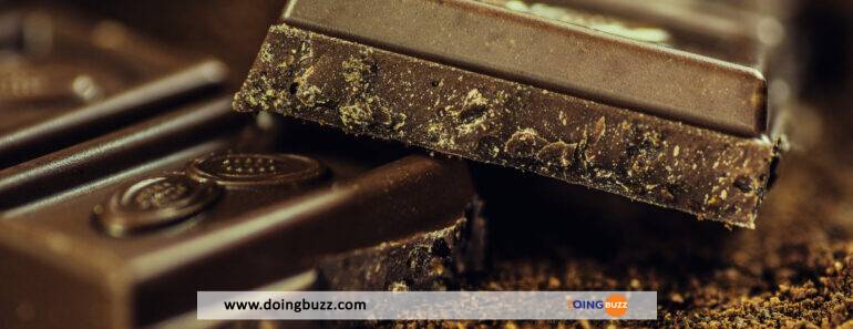 Le Chocolat Peut Aider À Perdre Du Poids Et À Prévenir La Maladie D&Rsquo;Alzheimer (Etude)