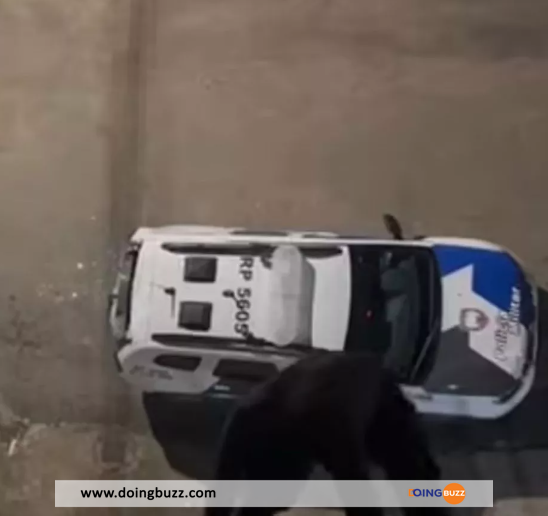 Un Homme Fait Une Chute De 15 Mètres Sur Une Voiture De Police (Vidéo)
