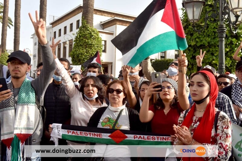 A France Affirme Que Les Conditions Pour Reconnaître L'État De Palestine Ne Sont Pas Réunies