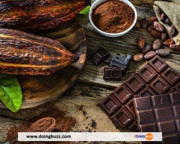 Cacao : Le Cameroun Confronté À Une Rude Concurrence Du Marché International
