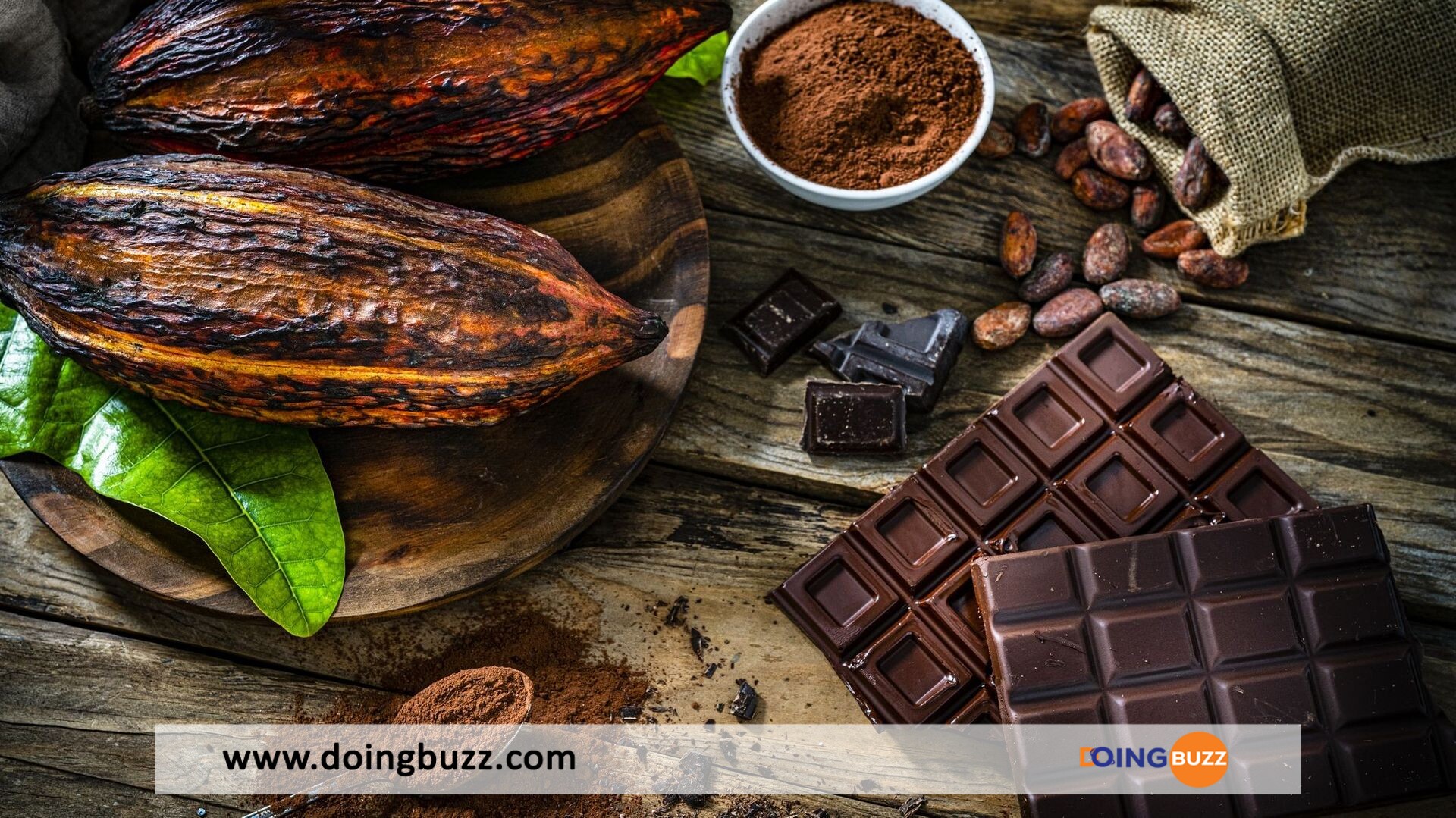 Cacao : Le Cameroun Confronté À Une Rude Concurrence Du Marché International