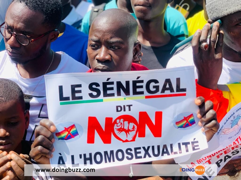 Non A Lhomosexualite Au Senegal 20 1