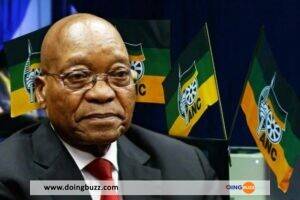 Afrique Du Sud : Le Parti De Zuma Nie Toute Falsification De Signatures