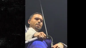 Chris Brown : Les C0Uilles Du Chanteur Américain Exposées En Plein Concert (Video)