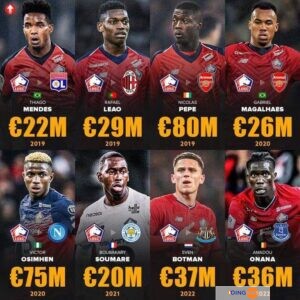 Lille Osc : Un Modèle De Vente Réussi Dans Le Football Européen