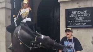 Un Cheval De Garde Du Roi Charles Mord Une Touriste (Video)