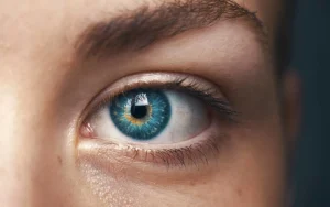 Blindsight, Le Nouvel Implant Qui Promet De Restituer La Vue Aux Personnes Malvoyantes