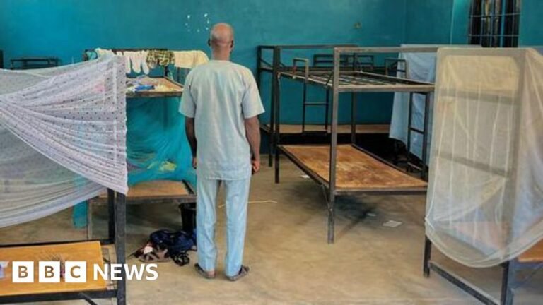 CAN 2026 : Analyse du Groupe de la Mort et les Enjeux pour les Sélections Africaines