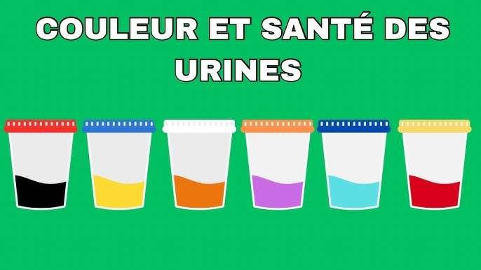 Santé : Ce Que Votre Urine Peut Réellement Révéler Sur Votre État Général