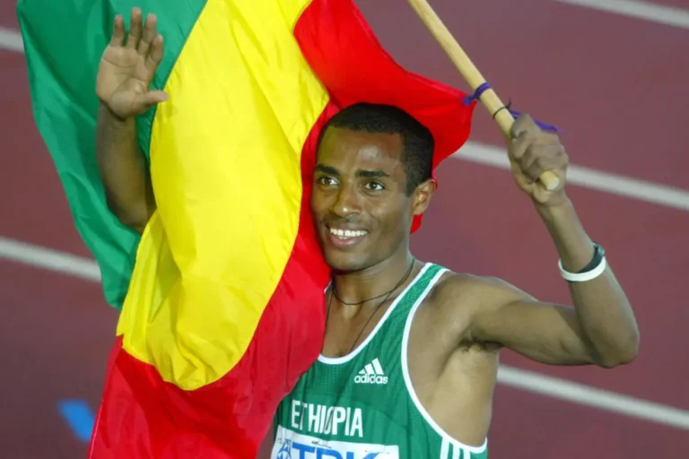 2026 : Les tendances incontournables pour réussir son année en Afrique francophone et diaspora