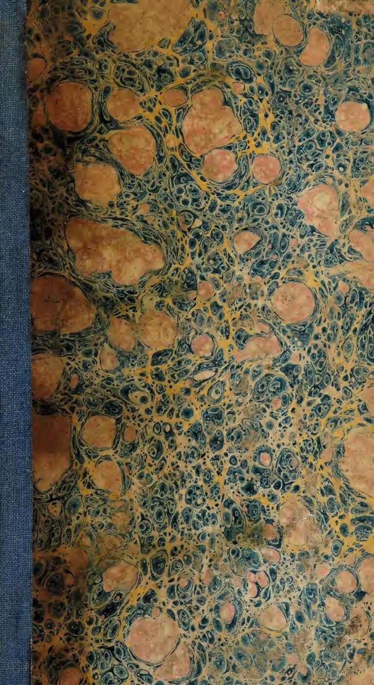 Allemagne : guide pratique de la mutuelle santé pour éviter les mauvaises surprises