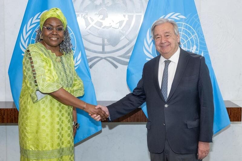 Sarah Safyn Fyneah démissionne de son poste à l&rsquo;ONU