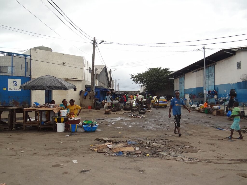 Prix du poisson en Côte d&rsquo;Ivoire : le carton de chinchard et de maquereau baisse de 2 500 FCFA